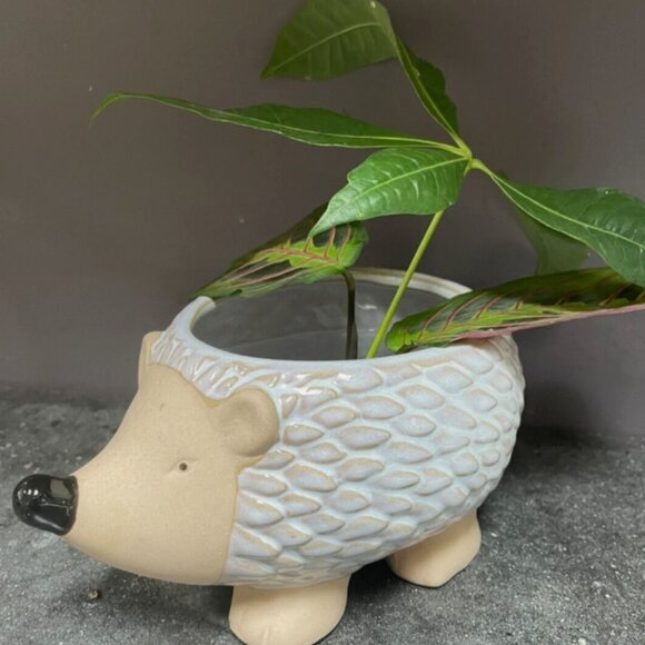 Hedgehog ceramic ~ Planter ~ Vase ~ used for candy or decoration NEW - Picture 1 of 9
